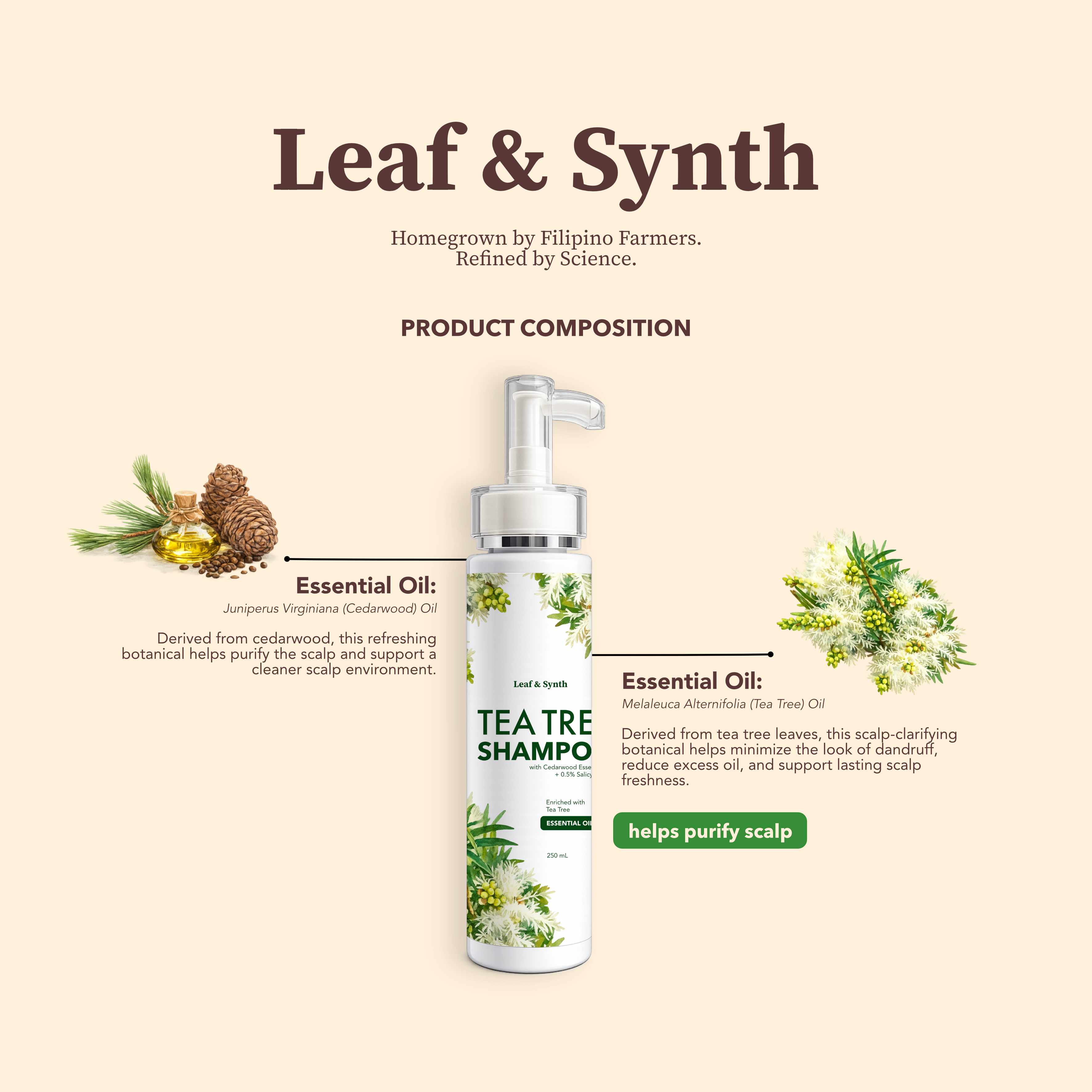 Leaf & Synth Tea Tree Shampoo with Cedarwood Essential Oil - Purify Scalp