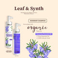 Leaf & Synth Rosemary Shampoo with Clove Essential Oil - Healthy Scalp