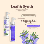 Leaf & Synth Rosemary Shampoo with Clove Essential Oil - Healthy Scalp